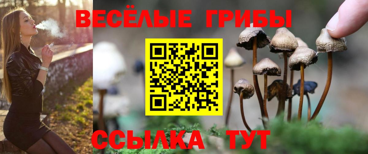 Ессентуки  Псилоцибиновые грибы мухоморы  Вход с VPN 